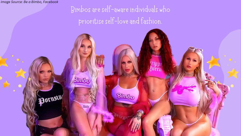 How to Become a Bimbo: A Complete Guide for Crossdressers and Transgenders