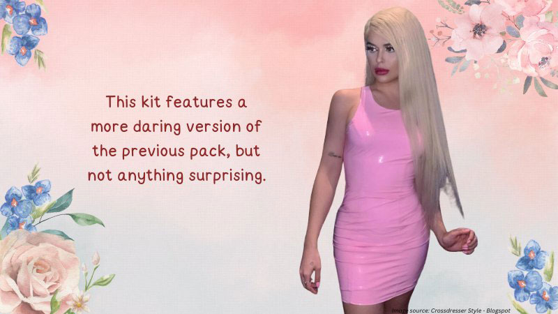 What’s Inside A Sissy Men Training Kit?