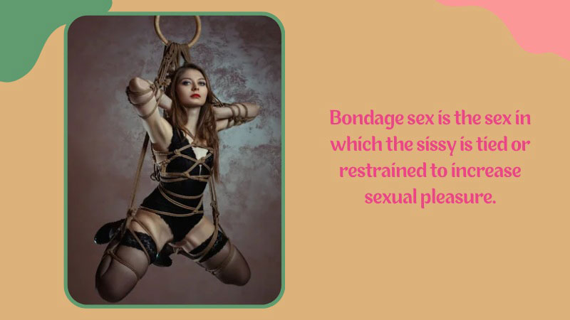 Top 9 Sissy Training Toys for an Exciting and Fulfilling Experience