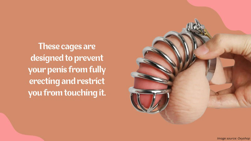 Top 9 Sissy Training Toys for an Exciting and Fulfilling Experience