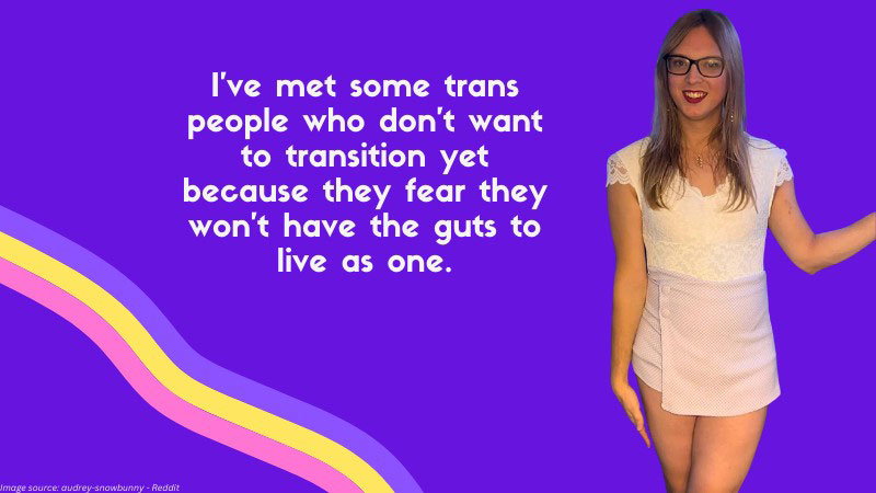 What Is Trans VR and Why You Should Try It